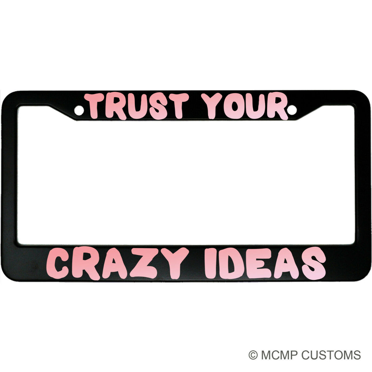 "Trust Your Crazy Ideas" inspirational aluminum license plate frame — front view
